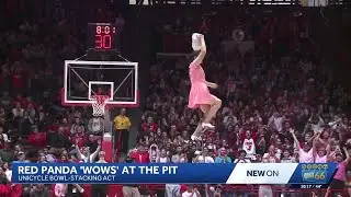 Red Panda performs at The Pit for the first time