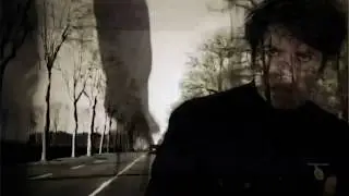 Kinski Gallo 