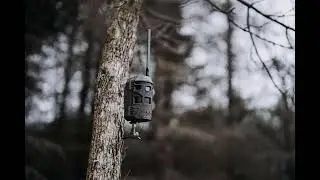 Muddy Trifecta 180&deg; Cellular Trail Camera Review | 36MP Wide-Angle Game Camera