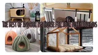 The Best Collection of Indoor Pet House Designs & Lifestyle for Your Furry Friends | Cozy Dream Home