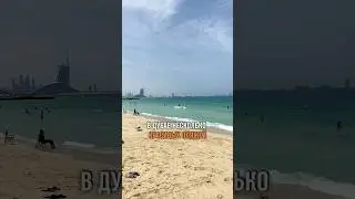 Как добраться до пляжа Kite beach в Дубае 🏝️