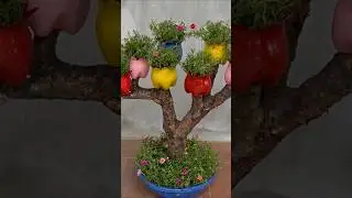 New garden ideas 💡#diy #gardening #craftideas #mossrose #shorts #viral