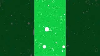 Gold White Particles Green Screen Chroma Key Animation