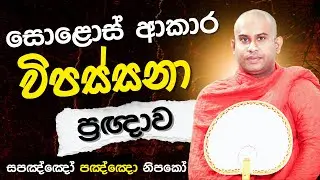 සොළොස් ආකාර මහා විපස්සනා ප්‍රඥාව || Namalgamuwe Wijayaseela Thero || Vipassana Meditation