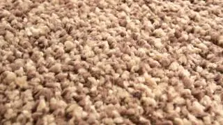 RugSpot Ela Shag Rug Collection