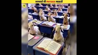 These Animals Know Physics #shorts