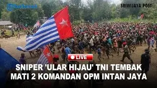 🔴Sniper Elit TNI Lumpuhkan 2 Komandan OPM Intan Jaya dalam Baku Tembak di Sugapa