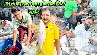 Ghazipur Fish Mandi rates today |दिल्ली की सबसे बड़ी Fish Market|Biggest Wholesale Fish Market Delhi