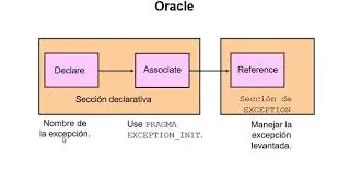 Manejo de excepciones, ClaseIX, Oracle12c, PL/SQL, Programación en base de datos.
