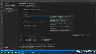 File Handling in Python Full in One Video (Hindi) | Create, Delete, Update, Read | TheCodeRank