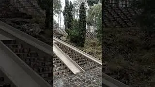 Beautiful visit to Abbotabad  | pine tree | Qadri Voice #pine #trees #ConservationOfWildlife #park