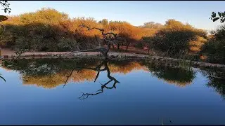 SOLD!! 945ha Farm for sale Steenbokpan, Limpopo Province