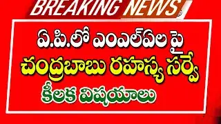 రాష్ట్రవ్యాప్తంగా ఎమ్మెల్యేల పై ప్రత్యేక సర్వే ap government servey for MLAs.
