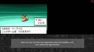 Further inspection of Wellspring Cave all-fainted Pokemon glitch - PkmnWJP
