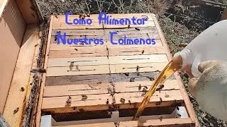 Como Alimentar Nuestras Colmenas/ APIGALVEZ/JOSE GALVEZ