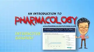 Introduction to PK - Integration of Concepts