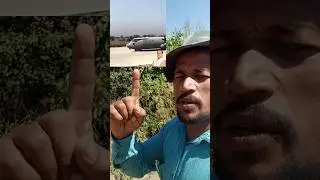 গৰু যাবলৈ ভয় কৰা ৰাস্তাটো 😎 #assamese #himantabiswasarma #shorts #assam #assameseshorts #viral