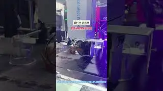UV inkjet printing machine for plastic cup side printing