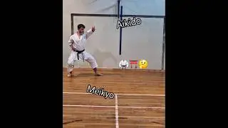 Aikido Tenkan in Meikyo....🤔⛩️🥋  #shotokan #karate #meikyo #aikido #martialarts #budo #karatekata