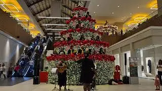 CONCIERTO NAVIDE&Ntilde;O EN AGORA MALL SANTIAGO R.D. DIC. 26 2025 #navidad #concierto #santiago #rd