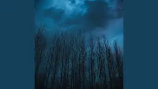 forest (Slowed + Reverb)