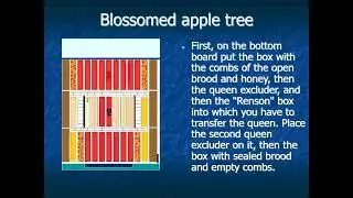 Renson's method of beekeeping