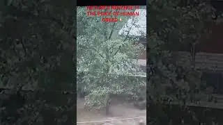 #NatureStrikesBack#ResultsOfEcoDestruction#Earth'sFury#NatureVersesHuman#Trending#shorts