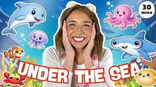 Under The Sea with Ms Ash | Ocean Songs, Shapes, Sea Animals, Counting & Colors for Toddlers!