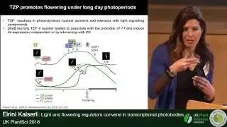 Eirini Kaiserli. Light and Flowering Regulators Convene in Transcriptional Photobodies