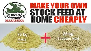 Learn how to make stock feed from home cheaply with U-Mix Premix