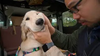 モグモグしてると雑草食べてる容疑をかけられるマックスww