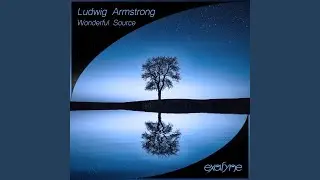 Wonderful Source (Original Mix)