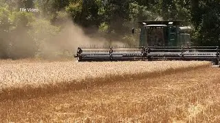 Delta Farmers Struggle Amid High Costs and Low Crop Prices