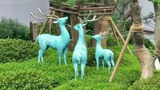 Coexist with Nature