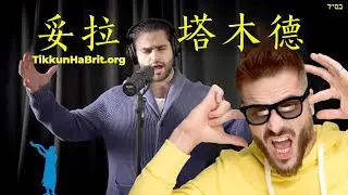 Israel Horowitz：妥拉与塔木德有什么区别？