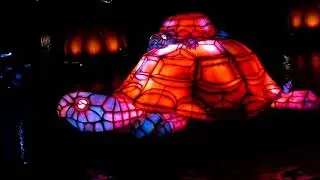 Highlights from Rivers of Light at Disney's Animal Kingdom