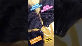 20inch Natural Wavy Weft Hair One Kg Price $850 / INDIAN HUMAN HAIR EXPORTER