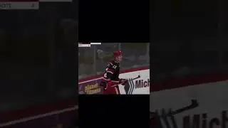 Red Wings Prospect William Wallinder 🚨 #LGRW&nbsp; #GoGRG
