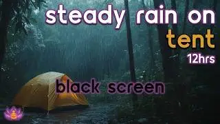 [Black Screen] Cozy Night in a Tent | Steady Rain &ndash; No Thunder | Rain Sounds for Sleep Ambience