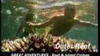 Great Adventures - Green Island and Outer Reef Cruises from Cairns