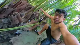 BLUE HOLE (San Juan, Tuburan Cebu)