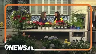 Haven't gotten flowers for Mom? This Denver shop has you covered