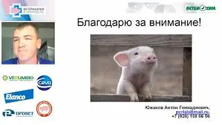 Антон Южаков. Генетическое разнообразие вирусов РРСС в России