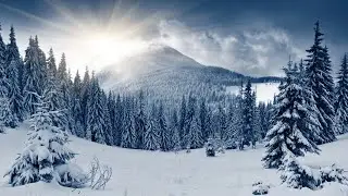 Coldplay — White Shadows (Orkidea Pure Progressive Mix)
