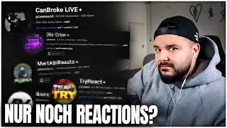 Das Problem mit den YouTube Reaktionen