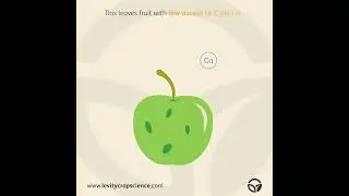 How to Reduce Bitter Pit Apples