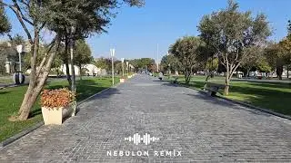 Aylin - Nebulon
