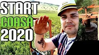 ✅ AM COSIT O PARTE DIN LUCERNĂ‼️
