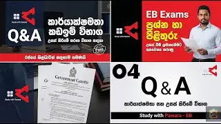 Q&A 04| ආයතන සංග්&zwj;රහය සහ කාර්ය පටිපාටික රීති | MCQ | EB Exam Help for Government Officers | Sinhala