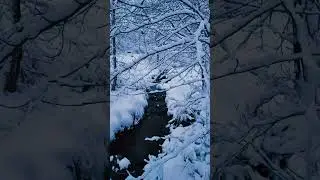 Winter Stream Flowing | Snow Creek ASMR Short 4K